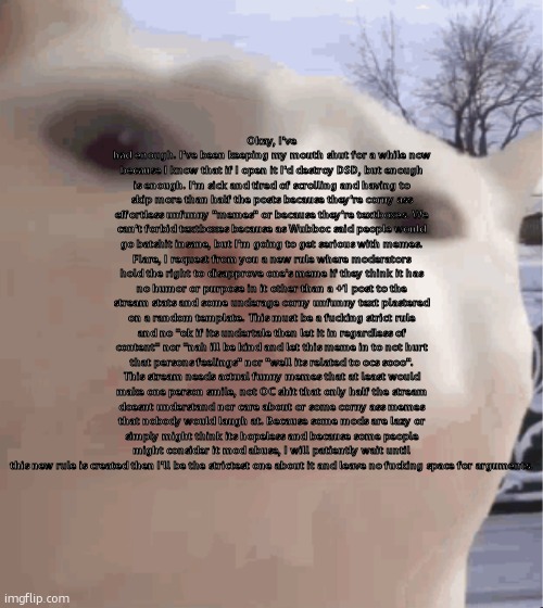 If you comment just to start some kind of heated argument with me then I will ignore or delete it. | Okay, I've had enough. I've been keeping my mouth shut for a while now because I know that if I open it I'd destroy DSD, but enough is enough. I'm sick and tired of scrolling and having to skip more than half the posts because they're corny ass effortless unfunny "memes" or because they're textboxes. We can't forbid textboxes because as Wubboc said people would go batshit insane, but I'm going to get serious with memes. Flare, I request from you a new rule where moderators hold the right to disapprove one's meme if they think it has no humor or purpose in it other than a +1 post to the stream stats and some underage corny unfunny text plastered on a random template. This must be a fucking strict rule and no "ok if its undertale then let it in regardless of content" nor "nah ill be kind and let this meme in to not hurt that persons feelings" nor "well its related to ocs sooo". This stream needs actual funny memes that at least would make one person smile, not OC shit that only half the stream doesnt understand nor care about or some corny ass memes that nobody would laugh at. Because some mods are lazy or simply might think its hopeless and because some people might consider it mod abuse, I will patiently wait until this new rule is created then I'll be the strictest one about it and leave no fucking space for arguments. | image tagged in i showed you my,ralsei of topic | made w/ Imgflip meme maker