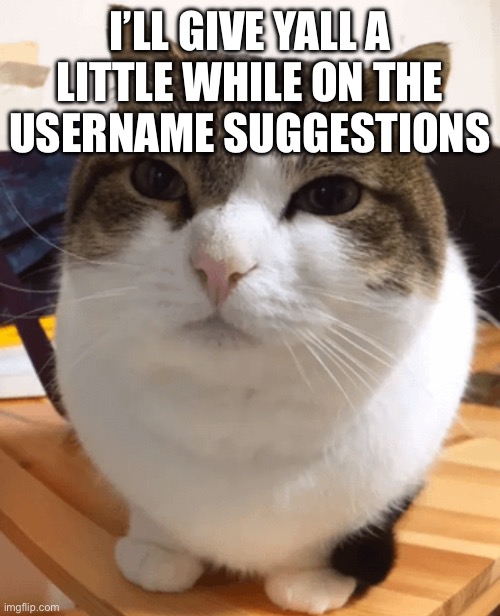 Oh the misery (original) | I’LL GIVE YALL A LITTLE WHILE ON THE USERNAME SUGGESTIONS | image tagged in oh the misery original | made w/ Imgflip meme maker