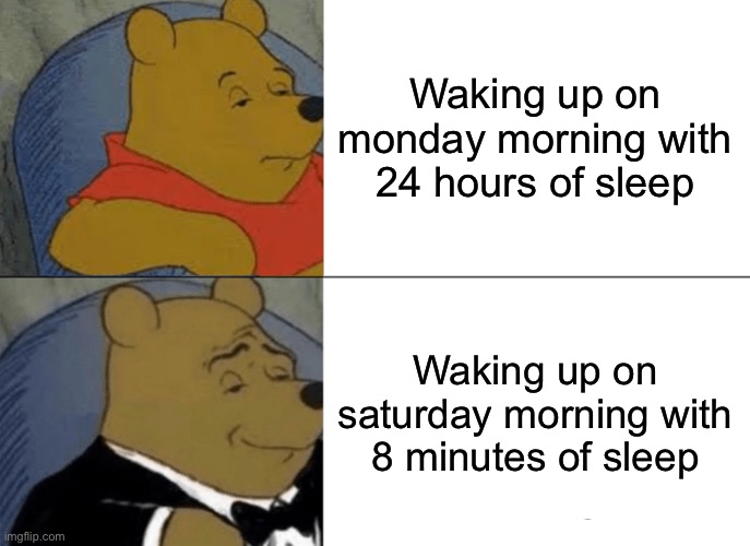 Tuxedo Winnie The Pooh | Waking up on monday morning with 24 hours of sleep; Waking up on saturday morning with 8 minutes of sleep | image tagged in memes,tuxedo winnie the pooh | made w/ Imgflip meme maker