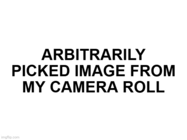 Arbitrarily Picked Image | image tagged in arbitrarily picked image | made w/ Imgflip meme maker