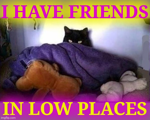 making plans | I HAVE FRIENDS IN LOW PLACES | image tagged in making plans | made w/ Imgflip meme maker