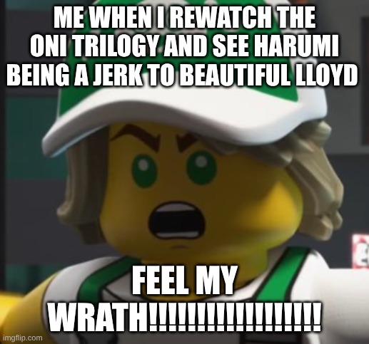 any of y'all  relate 2 this | ME WHEN I REWATCH THE ONI TRILOGY AND SEE HARUMI BEING A JERK TO BEAUTIFUL LLOYD; FEEL MY WRATH!!!!!!!!!!!!!!!!!! | image tagged in angy lloyd | made w/ Imgflip meme maker