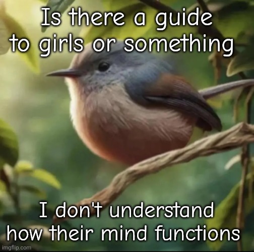 Not having a pp and balls can make this much dihffrence | Is there a guide to girls or something; I don't understand how their mind functions | image tagged in no balls | made w/ Imgflip meme maker