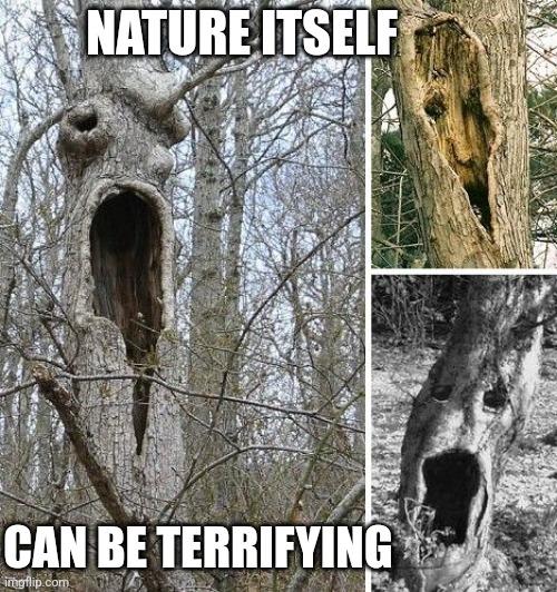 NATURE ITSELF CAN BE TERRIFYING | made w/ Imgflip meme maker