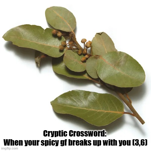 Bay Leaves | Cryptic Crossword: 
When your spicy gf breaks up with you (3,6) | image tagged in spice,cryptography,crossword,girlfriend,bad pun | made w/ Imgflip meme maker