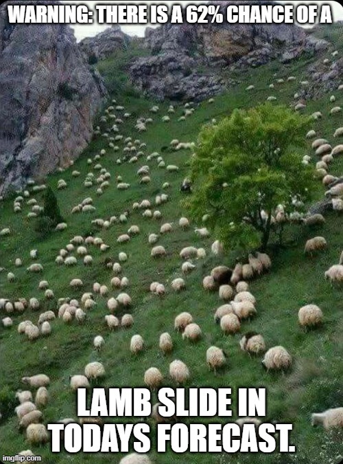 There is a 65% chance of a lamb slide in today forecast | image tagged in funny,play on words,lamb,humor,forecast,funny memes | made w/ Imgflip meme maker