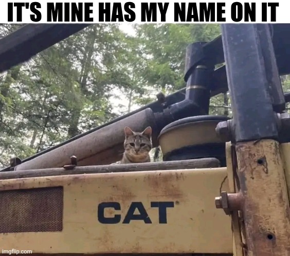 It's Mine Has My Name On It | IT'S MINE HAS MY NAME ON IT | image tagged in chris joines | made w/ Imgflip meme maker