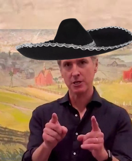 Nutcase Gavin Newsom Blank Meme Template