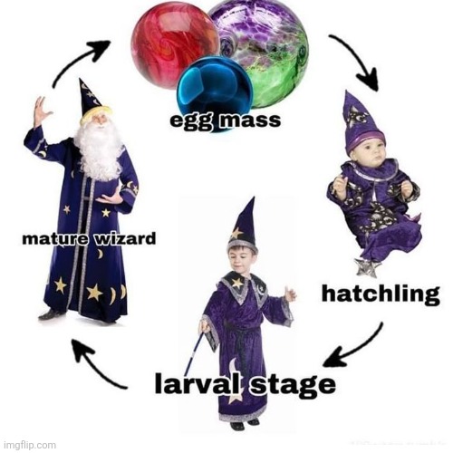 Wizard posting time | image tagged in wizard | made w/ Imgflip meme maker