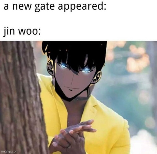 image tagged in solo leveling,sung jinwoo | made w/ Imgflip meme maker
