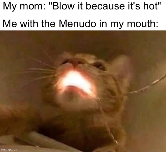 Menudo Cat | My mom: "Blow it because it's hot"; Me with the Menudo in my mouth: | image tagged in cat,mexican food | made w/ Imgflip meme maker