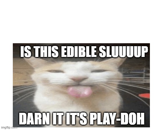 Make your own meme | IS THIS EDIBLE SLUUUUP; DARN IT IT'S PLAY-DOH | image tagged in make your own meme | made w/ Imgflip meme maker