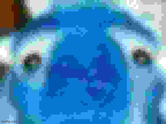 distressed manfred | image tagged in distressed manfred | made w/ Imgflip meme maker