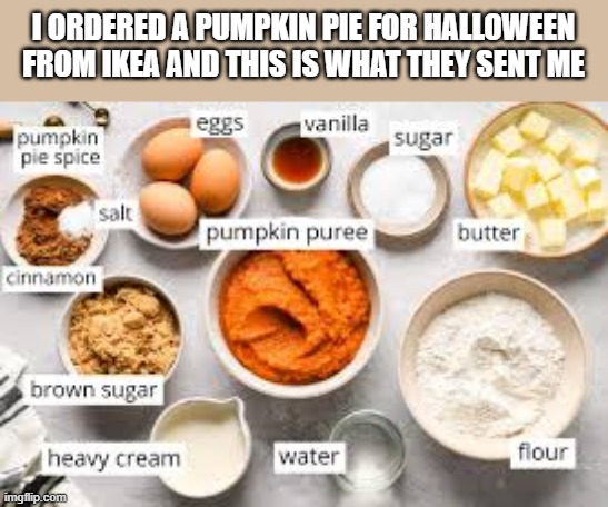 I ordered a pumpkin pie from Ikea and this is what they sent me. | I ORDERED A PUMPKIN PIE FOR HALLOWEEN FROM IKEA AND THIS IS WHAT THEY SENT ME | image tagged in funny,humor,pumpkin pie,halloween,thanksgiving,ikea | made w/ Imgflip meme maker