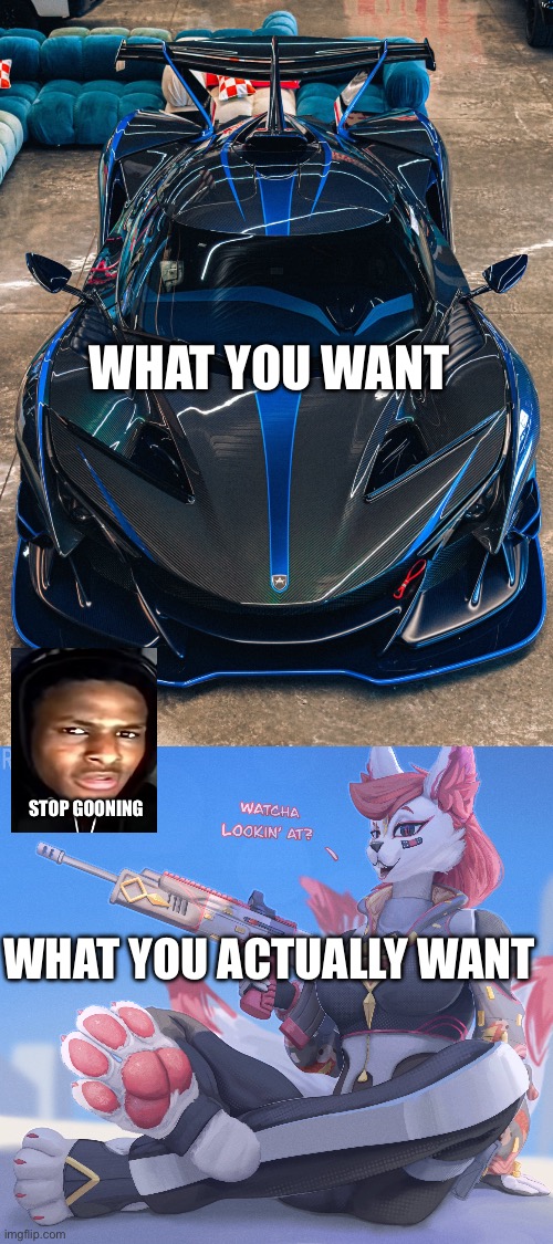 Send this to that one bro | WHAT YOU WANT; STOP GOONING; WHAT YOU ACTUALLY WANT | image tagged in car | made w/ Imgflip meme maker