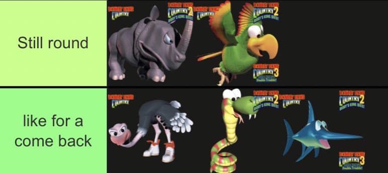 dk bubbies Blank Meme Template