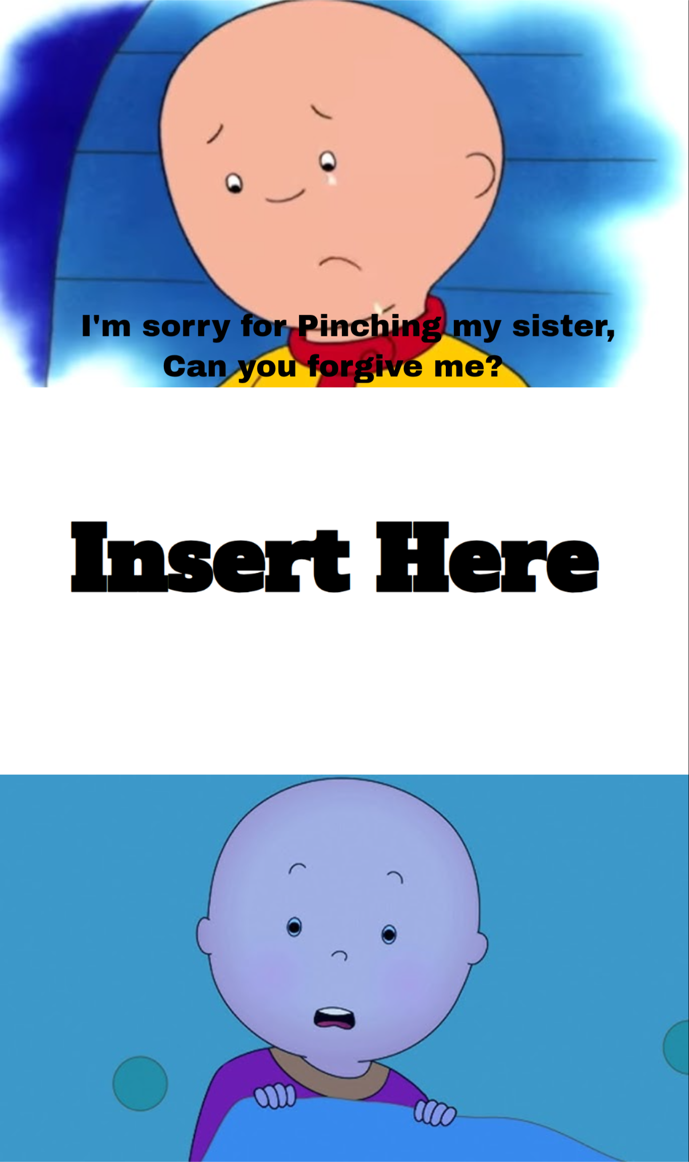 Who denies Caillou's apology Blank Meme Template