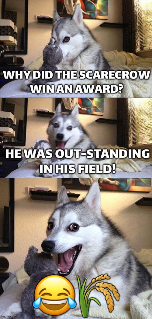 WHY DID THE SCARECROW WIN AN AWARD? | WHY DID THE SCARECROW
WIN AN AWARD? HE WAS OUT-STANDING IN HIS FIELD! 😂🌾 | image tagged in memes,bad pun dog,scarecrow,award,awards,funny memes | made w/ Imgflip meme maker
