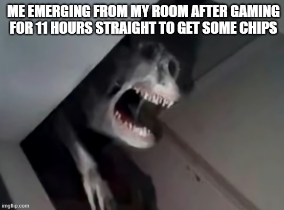 ME EMERGING FROM MY ROOM AFTER GAMING FOR 11 HOURS STRAIGHT TO GET SOME CHIPS | made w/ Imgflip meme maker