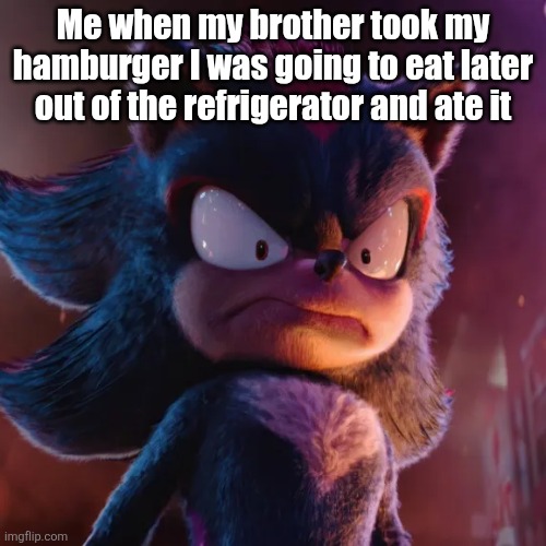 My Big backed brother took my dag gum Burger | Me when my brother took my hamburger I was going to eat later out of the refrigerator and ate it | image tagged in shadow the hedgehog | made w/ Imgflip meme maker