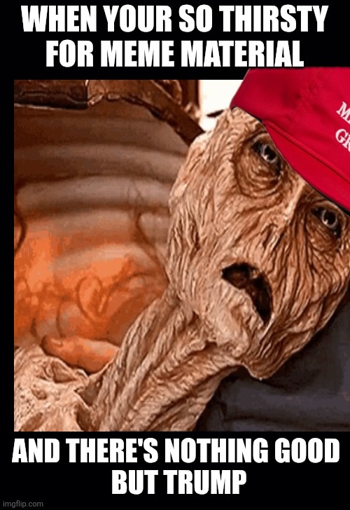 Laughing watching maga struggle to make memes some are plain ridiculous | WHEN YOUR SO THIRSTY
 FOR MEME MATERIAL; AND THERE'S NOTHING GOOD 
 BUT TRUMP | image tagged in trump is the meme machine,maga struggles,so thirsty for material,dying,ridiculous posts | made w/ Imgflip meme maker