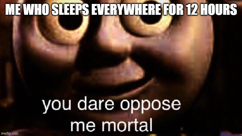 You dare oppose me mortal | ME WHO SLEEPS EVERYWHERE FOR 12 HOURS | image tagged in you dare oppose me mortal | made w/ Imgflip meme maker