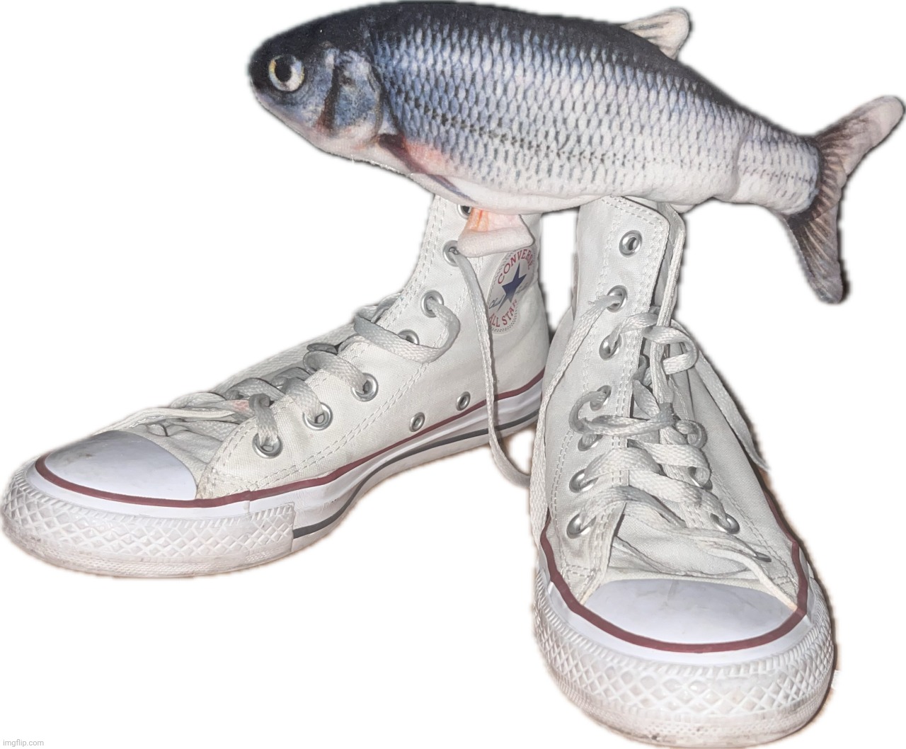 Fih | image tagged in fih | made w/ Imgflip meme maker