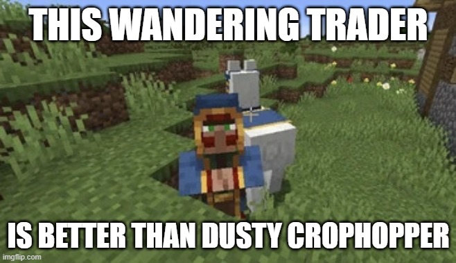 Wandering Trader | THIS WANDERING TRADER; IS BETTER THAN DUSTY CROPHOPPER | image tagged in wandering trader | made w/ Imgflip meme maker