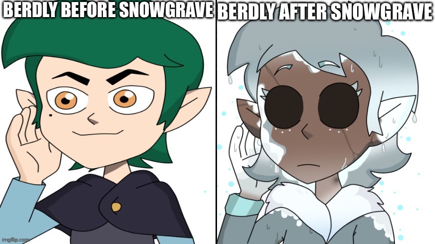 Traumatized edric blight | BERDLY BEFORE SNOWGRAVE; BERDLY AFTER SNOWGRAVE | image tagged in traumatized edric blight | made w/ Imgflip meme maker