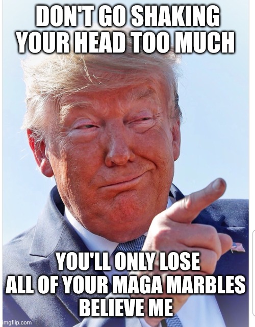 Trump pointing | DON'T GO SHAKING YOUR HEAD TOO MUCH YOU'LL ONLY LOSE ALL OF YOUR MAGA MARBLES 
BELIEVE ME | image tagged in trump pointing | made w/ Imgflip meme maker