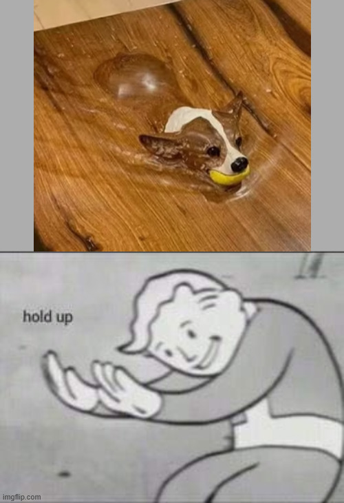 Imgflip out of context | image tagged in fallout hold up | made w/ Imgflip meme maker