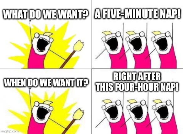 WHAT DO WE WANT? A FIVE-MINUTE NAP! | WHAT DO WE WANT? A FIVE-MINUTE NAP! RIGHT AFTER THIS FOUR-HOUR NAP! WHEN DO WE WANT IT? | image tagged in memes,what do we want,nap,mental health,sleep,bed | made w/ Imgflip meme maker
