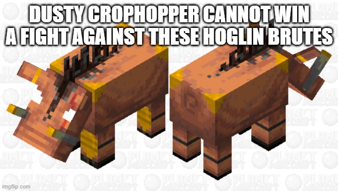 Hoglin Brutes | DUSTY CROPHOPPER CANNOT WIN A FIGHT AGAINST THESE HOGLIN BRUTES | image tagged in hoglin brutes | made w/ Imgflip meme maker