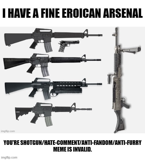 image tagged in i have a fine eroican arsenal your argument is invalid | made w/ Imgflip meme maker