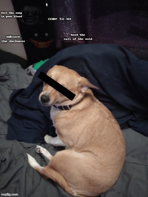 why does jehlo's bed right next to the void | come to us; feel the song in your blood; heed the call of the void; embrace the darkness | made w/ Imgflip meme maker