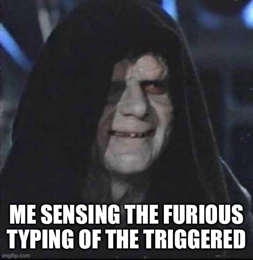 Sidious Error Meme | ME SENSING THE FURIOUS TYPING OF THE TRIGGERED | image tagged in memes,sidious error | made w/ Imgflip meme maker