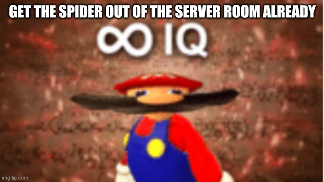 Infinite IQ | GET THE SPIDER OUT OF THE SERVER ROOM ALREADY | image tagged in infinite iq | made w/ Imgflip meme maker