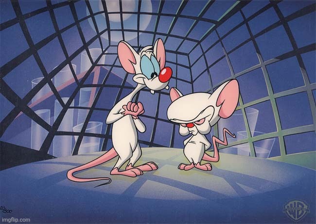 pinky and the brain | image tagged in pinky and the brain | made w/ Imgflip meme maker