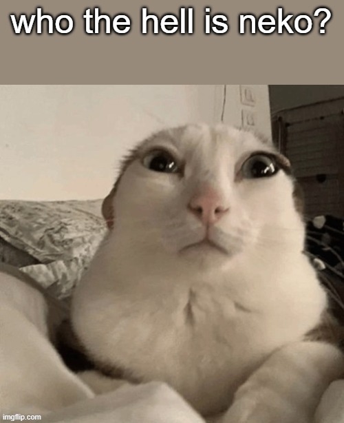 guh | who the hell is neko? | image tagged in goober | made w/ Imgflip meme maker