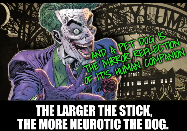Joker | AND A PET DOG IS THE MIRROR REFLECTION OF IT'S HUMAN COMPANION THE LARGER THE STICK, THE MORE NEUROTIC THE DOG. | image tagged in joker | made w/ Imgflip meme maker