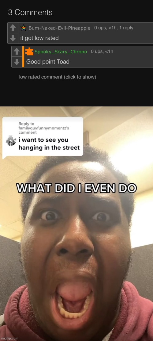 here before all my other comments are low rated for no reason | image tagged in what did i even do | made w/ Imgflip meme maker