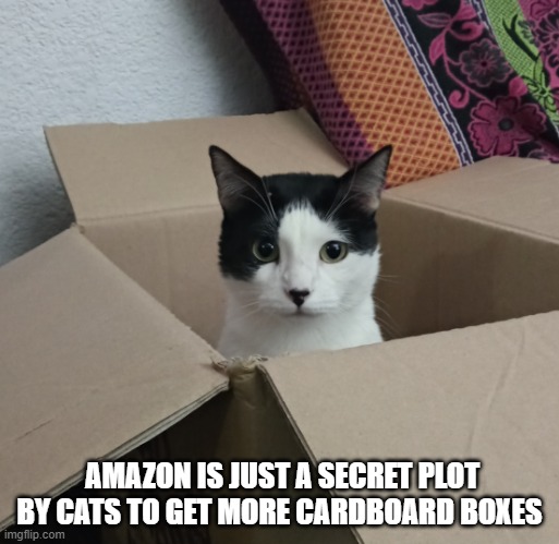 amazon cat plot | AMAZON IS JUST A SECRET PLOT BY CATS TO GET MORE CARDBOARD BOXES | image tagged in the cat box | made w/ Imgflip meme maker