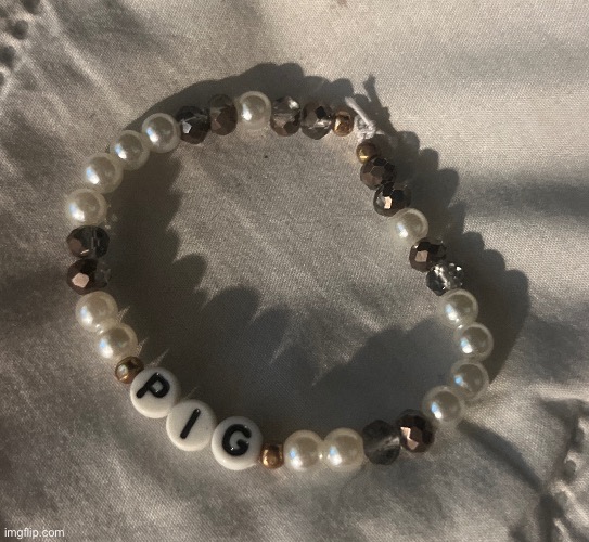 btw the gold and blackish shiny beads are from a collar she used to wear before it snapped | made w/ Imgflip meme maker
