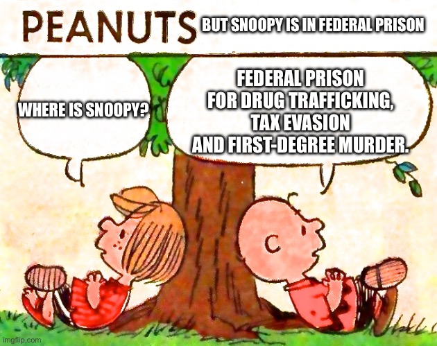Peanuts but Snoopy is in federal prison | BUT SNOOPY IS IN FEDERAL PRISON; FEDERAL PRISON FOR DRUG TRAFFICKING, TAX EVASION AND FIRST-DEGREE MURDER. WHERE IS SNOOPY? | image tagged in peanuts charlie brown peppermint patty | made w/ Imgflip meme maker