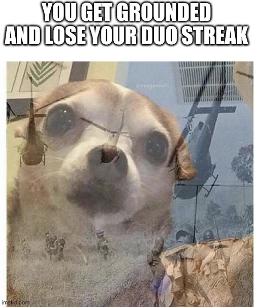 PTSD Chihuahua | YOU GET GROUNDED AND LOSE YOUR DUO STREAK | image tagged in ptsd chihuahua | made w/ Imgflip meme maker