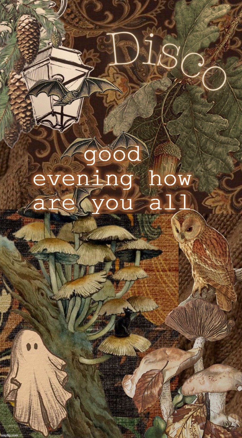 Disco's autumn temp | good evening how are you all | image tagged in disco's autumn temp | made w/ Imgflip meme maker