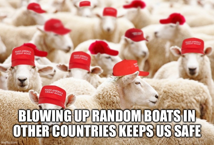 Trump MAGA sheep | BLOWING UP RANDOM BOATS IN OTHER COUNTRIES KEEPS US SAFE | image tagged in trump maga sheep | made w/ Imgflip meme maker