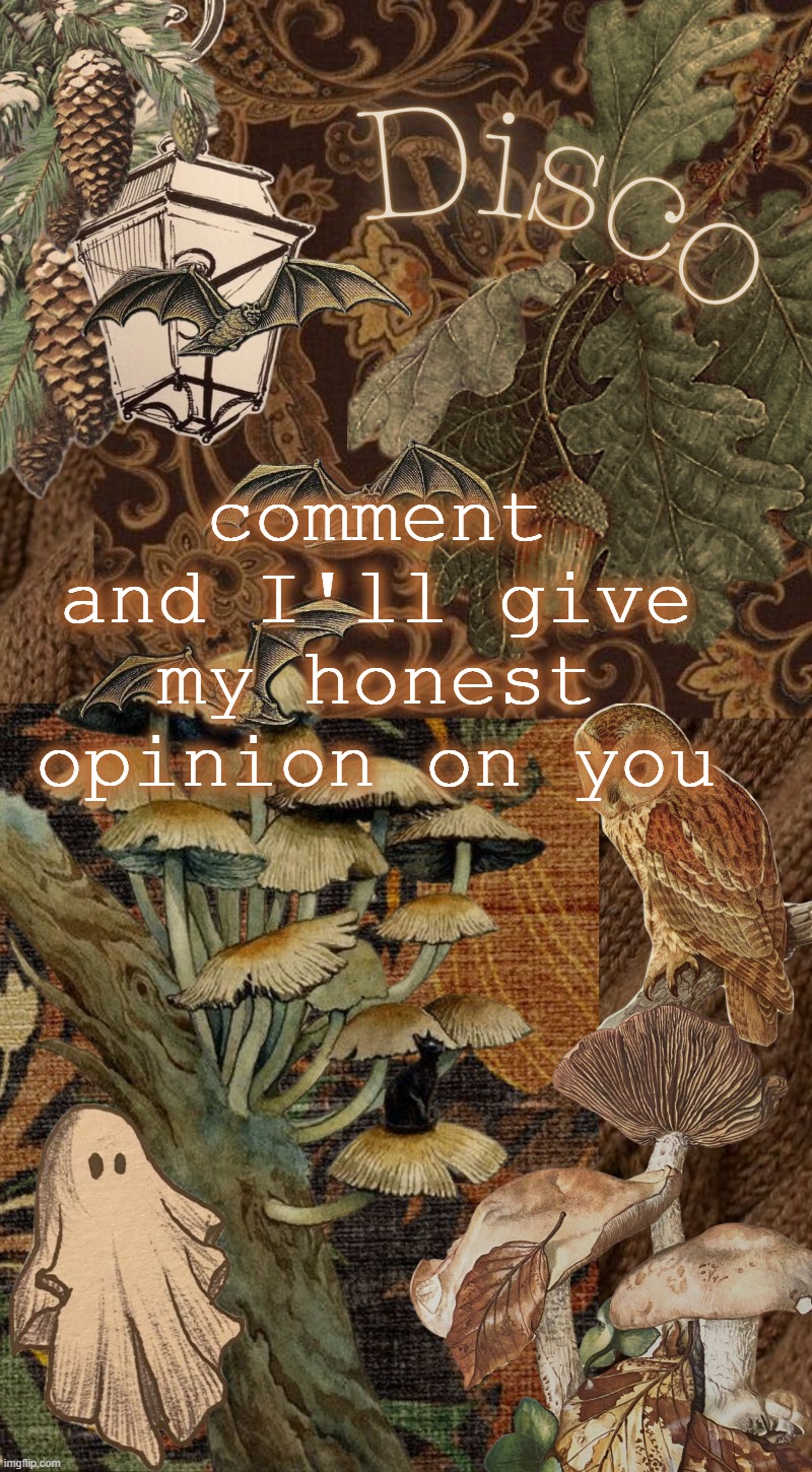 might forget | comment and I'll give my honest opinion on you | image tagged in disco's autumn temp | made w/ Imgflip meme maker