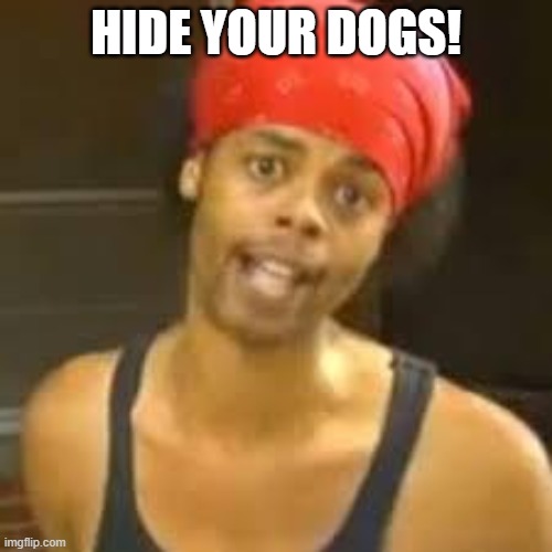 Ebola - Antoine hide your kids | HIDE YOUR DOGS! | image tagged in ebola - antoine hide your kids | made w/ Imgflip meme maker