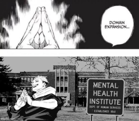 image tagged in domain expansion mental institute | made w/ Imgflip meme maker